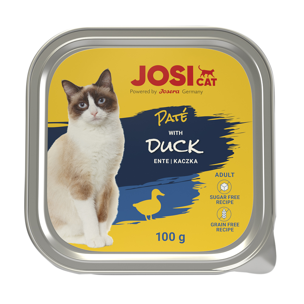 Paté mit Ente