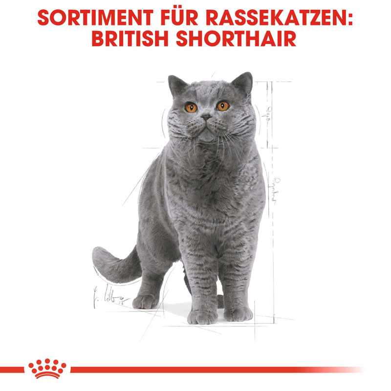 Royal Canin - FBN British Shorthair Adult - 1 x 2kg - 2