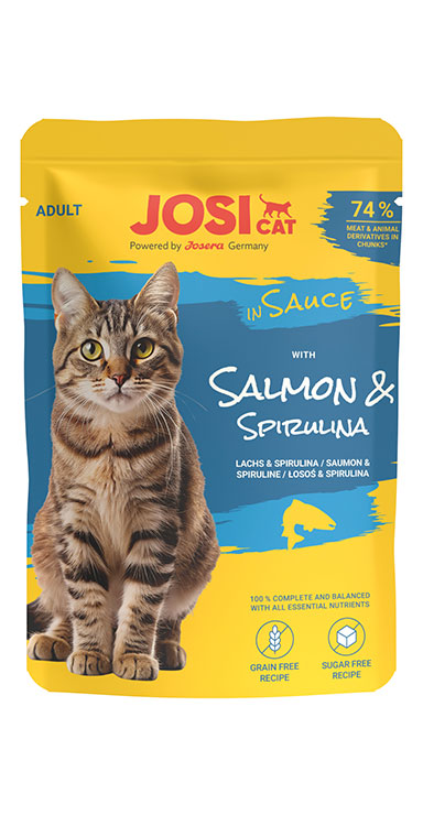 JC with Salmon in S.