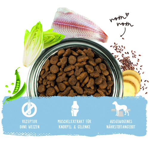 Bosch - Adult Fisch & Kartoffel - 1 x 3 kg - 2