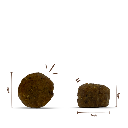 Bosch Sanabelle - Adult Geflügel - 2