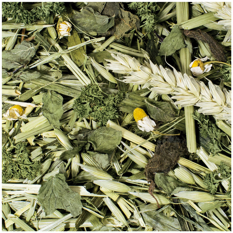 JR Farm - Kräutergarten - 6 x 100 g - 2