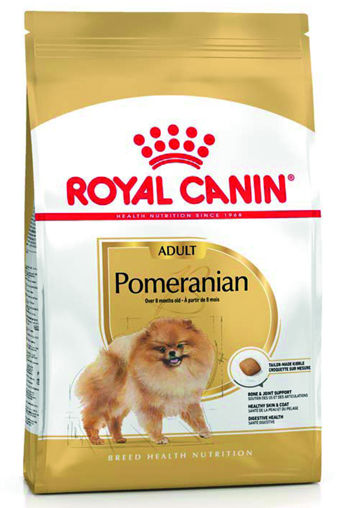 BHN Pomeranian