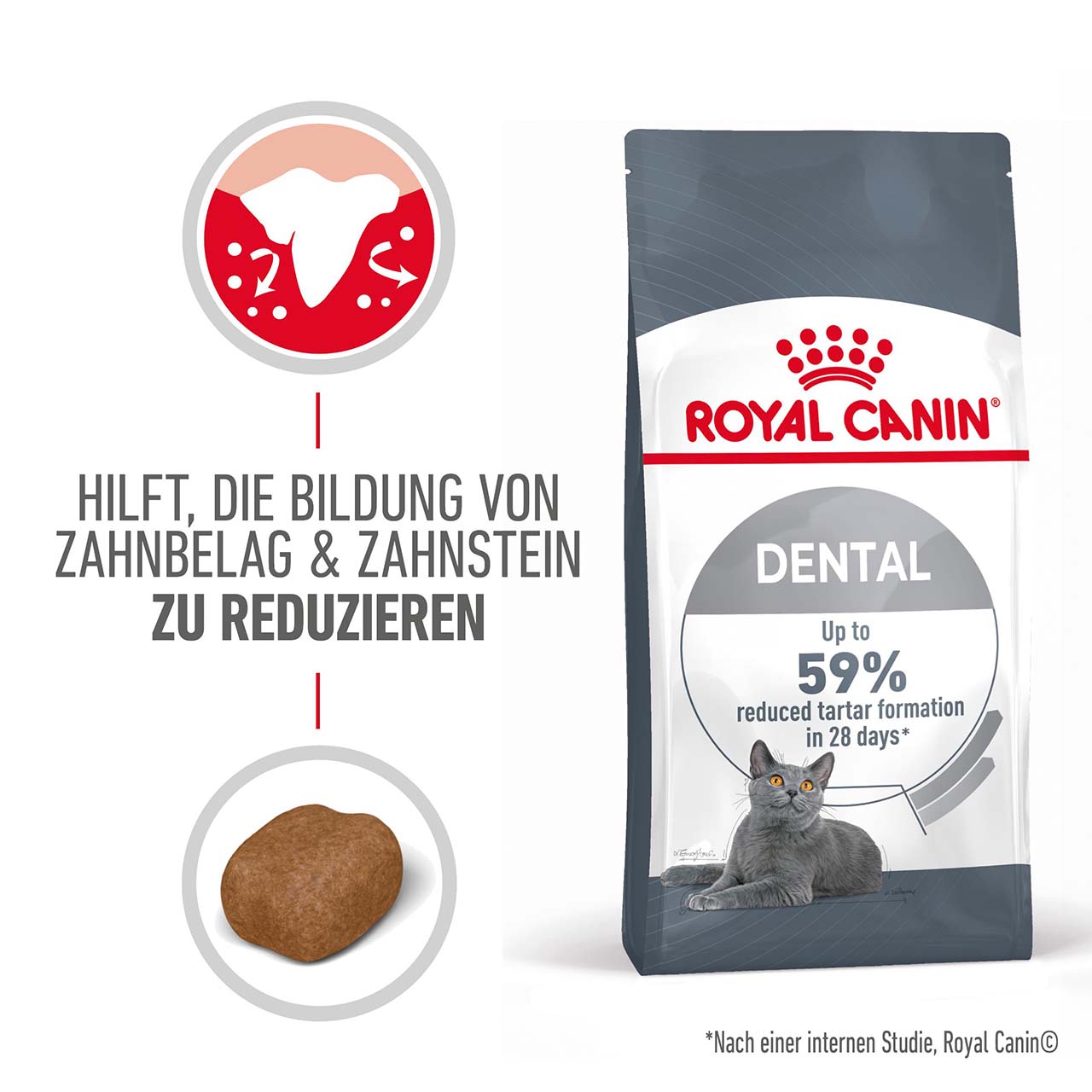Royal Canin - FCN Dental  Care - 1 x 1,5kg - 3