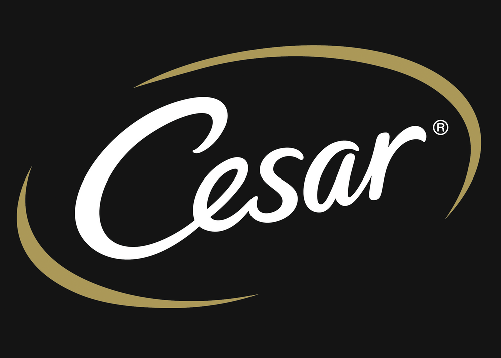 Cesar