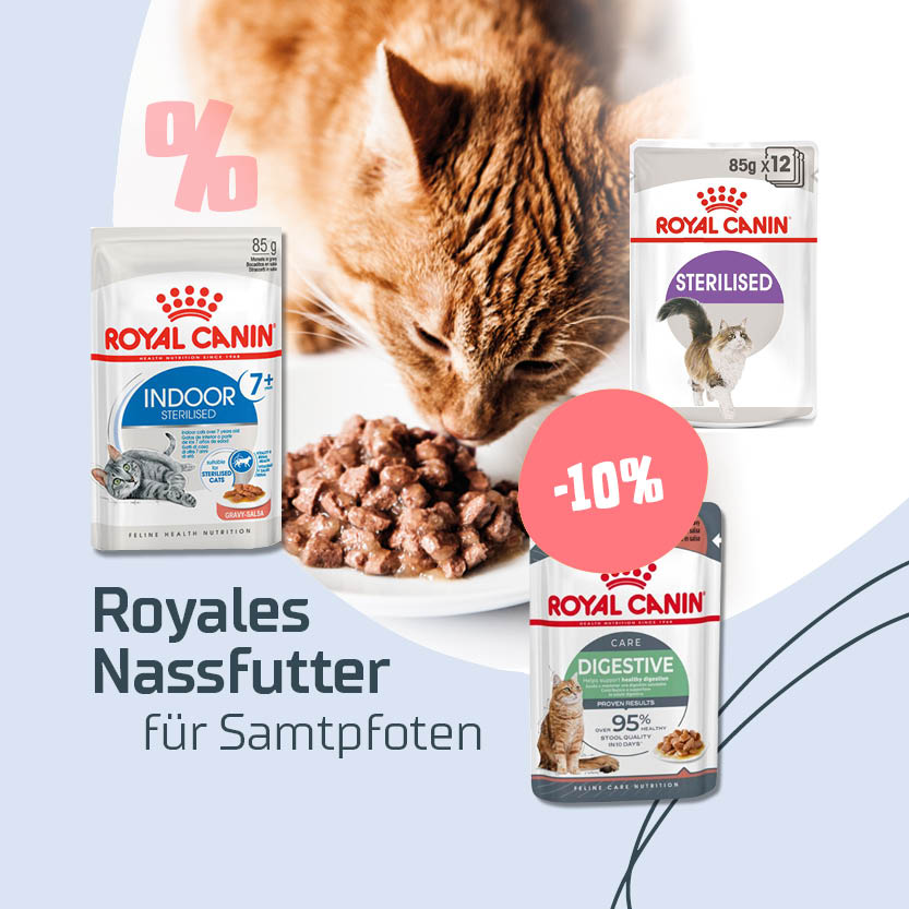 Royal Canin Katze