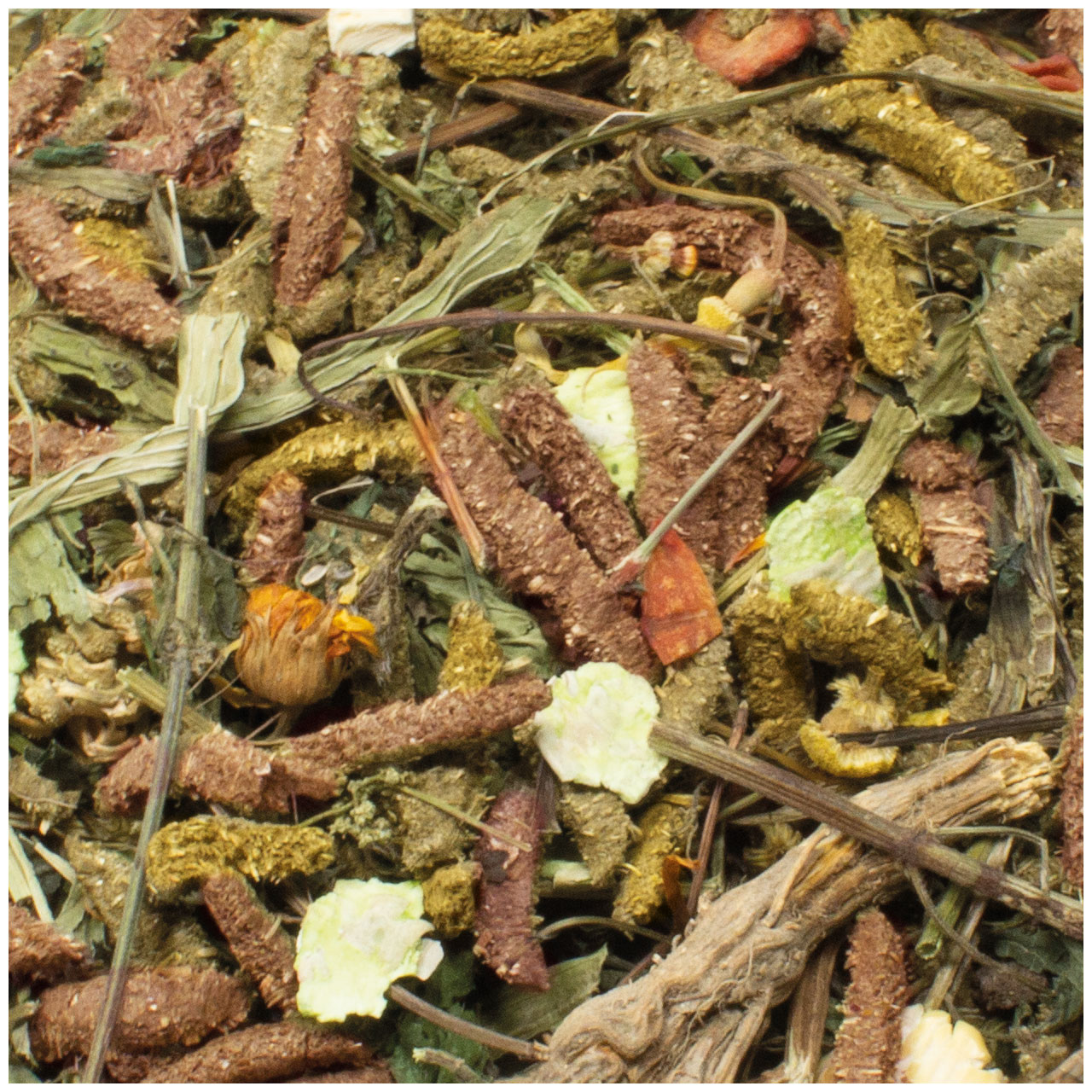 JR Farm - Grainless Mix Meerschweinchen - 6 x 650g - 2