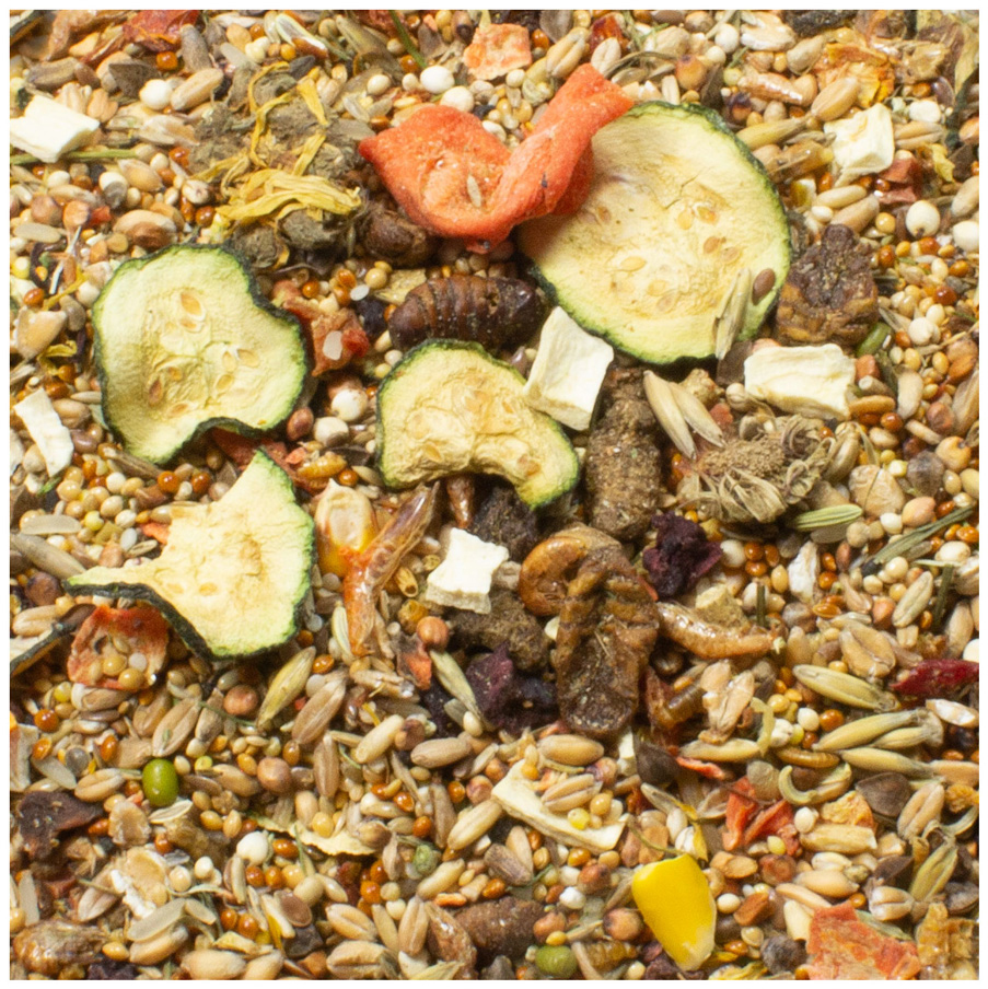 JR Farm - Farm Food Rennmaus Adult - 1 x 500 g - 2