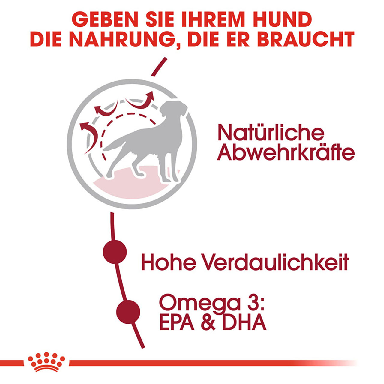 Royal Canin - SHN Medium Adult - 1 x 4kg - 3