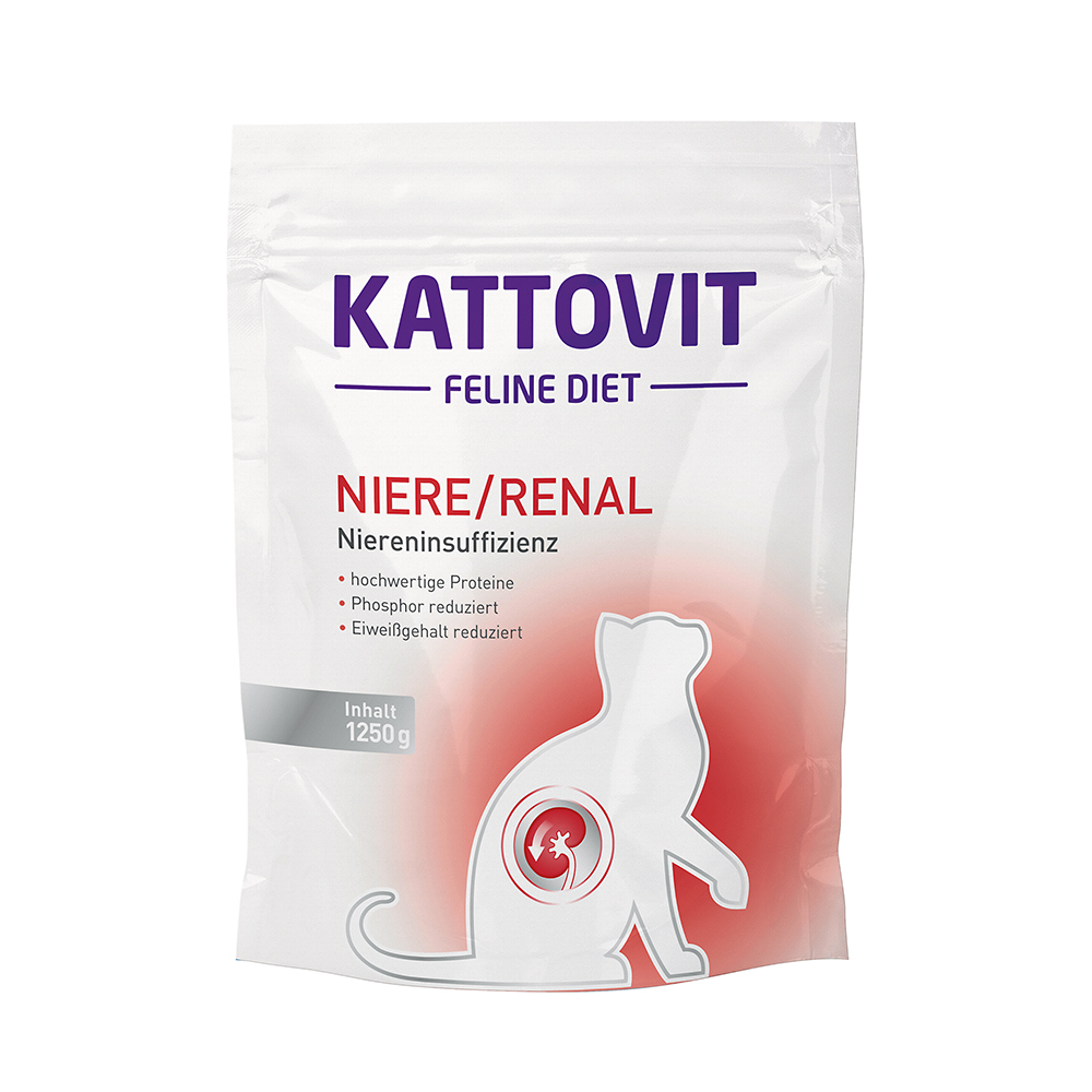 Niere/Renal