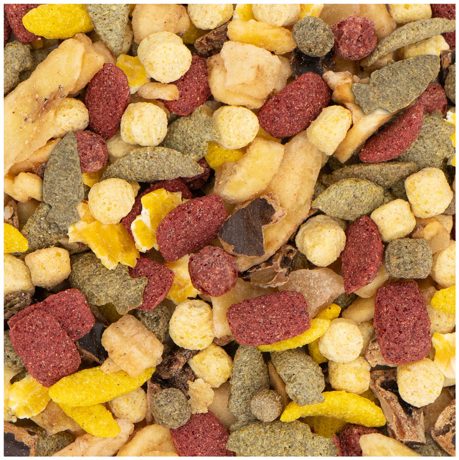 JR Farm - Obst-Salat - 8 x 200 g - 2
