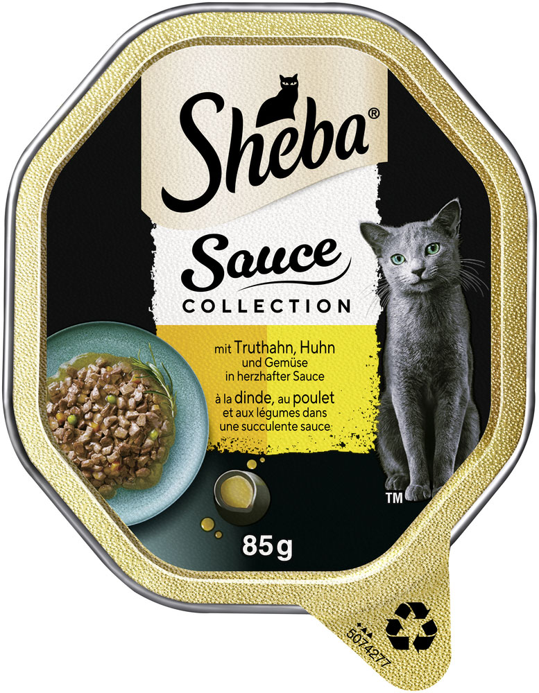 Collection Sauce mit Truthahn, Hähnchen und Gemüse in herzhafter Sauce