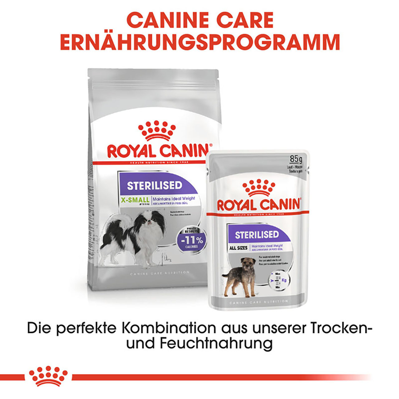 Royal Canin - CCN Sterilised X-Small - 1 x 1,5kg - 5