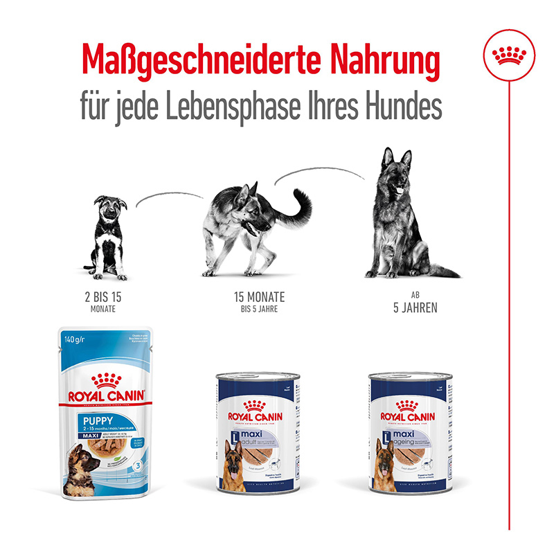 Royal Canin - SHN Maxi Ageing LoafCan - 4