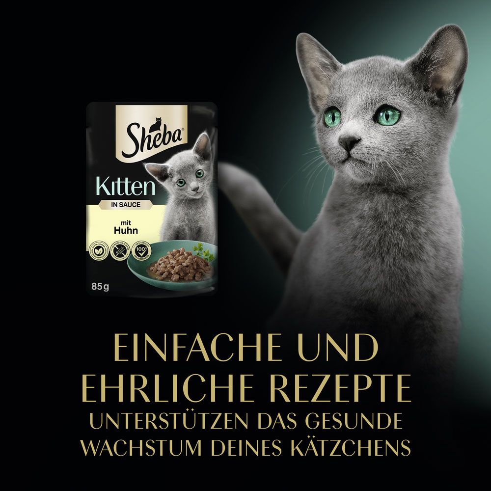 Sheba - Kitten mit Huhn in Sauce - 4