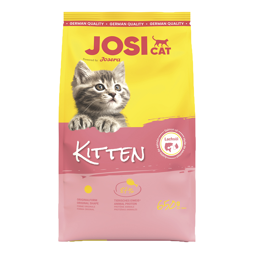 Kitten