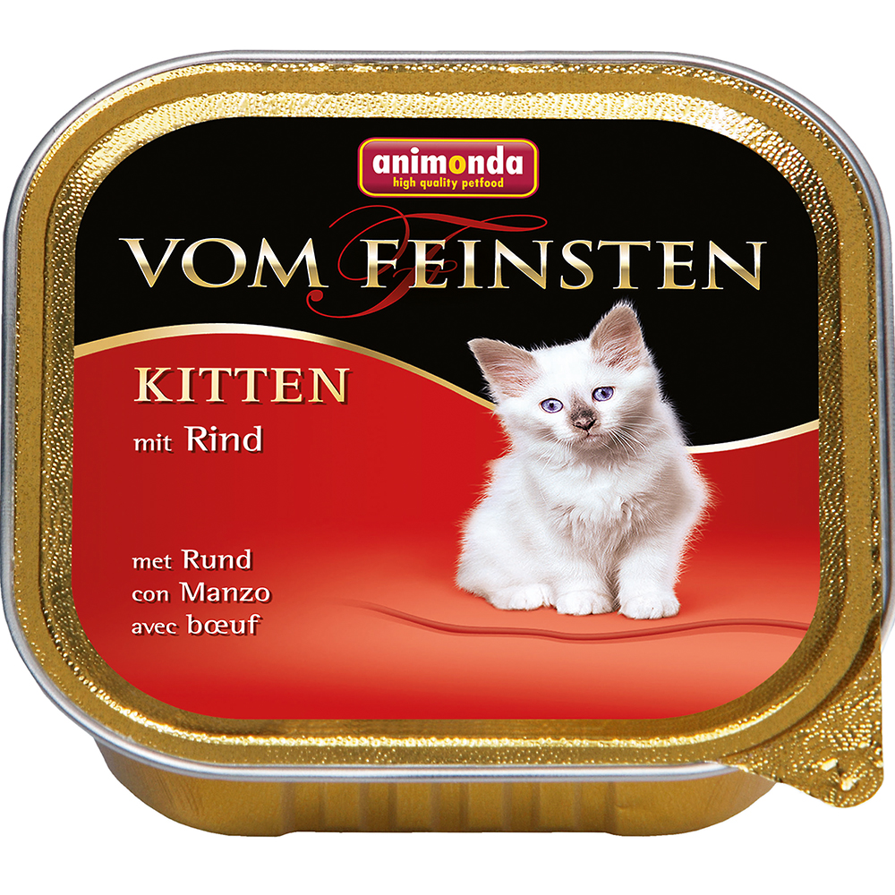 Kitten mit Rind