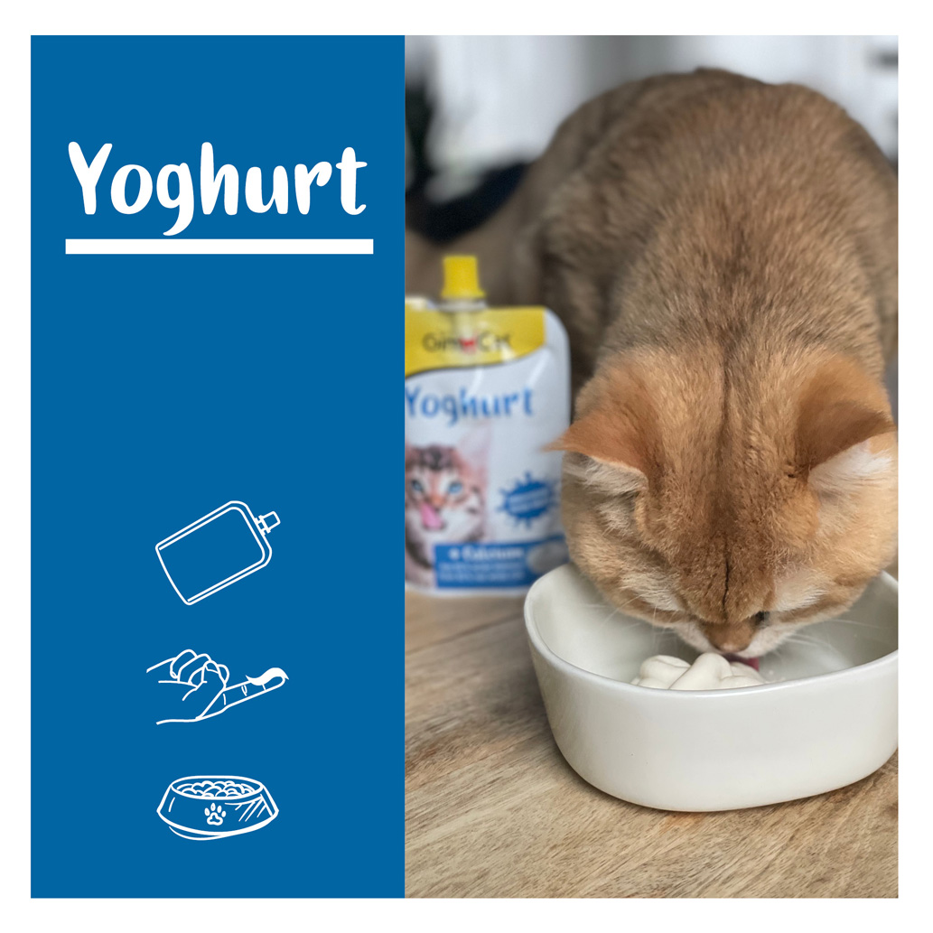 GimCat - Yoghurt - 8 x 150g - 4