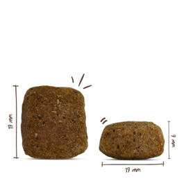 Bosch - Maxi Senior Geflügel & Reis - 4 x 2.5 kg - 7