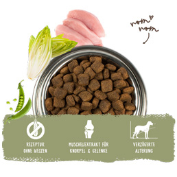 Bosch - Maxi Senior Geflügel & Reis - 5 x 1 kg - 6