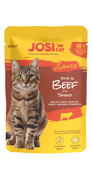 JC rich in Beef in S.