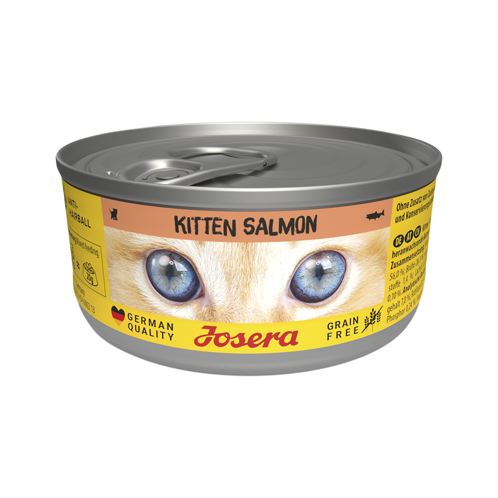 Kitten Salmon