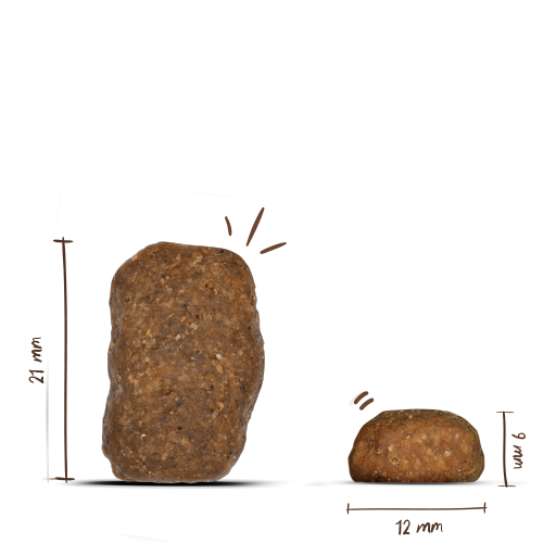 Bosch - Maxi Junior - 5 x 1000 g - 6
