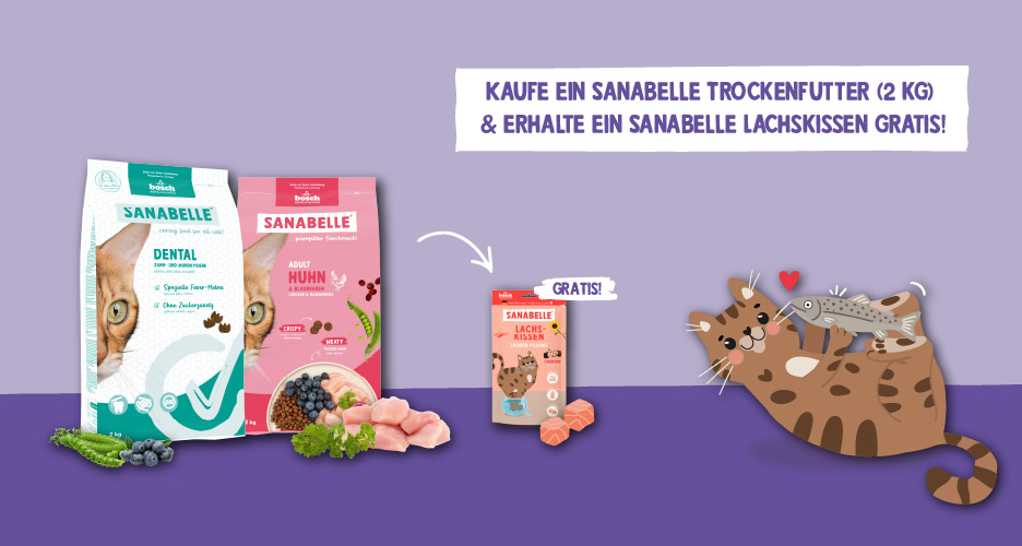 Katzentrockenfutter