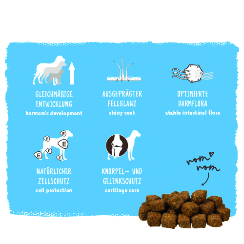 Bosch - Medium Junior - 4 x 3 kg - 2