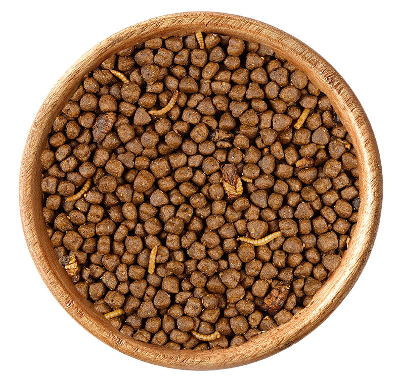 elles - Premium Igel-Menü 750g - 1 x 750g - 5