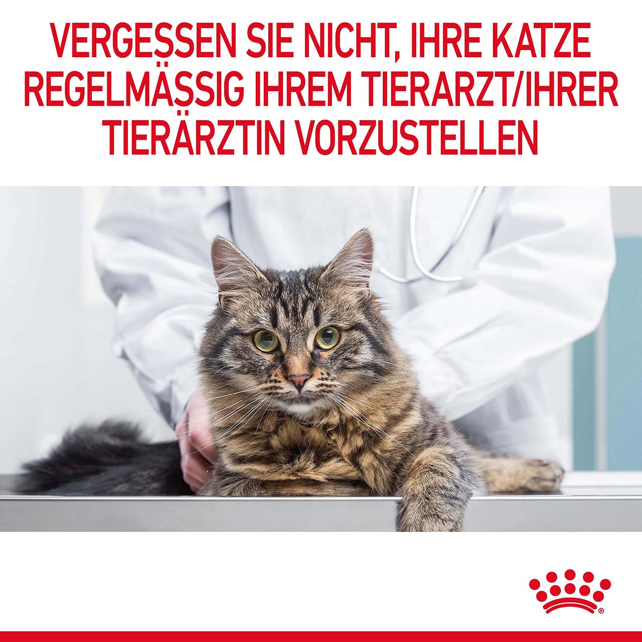 Royal Canin - FCN Appetite Control - 1 x 10kg - 8