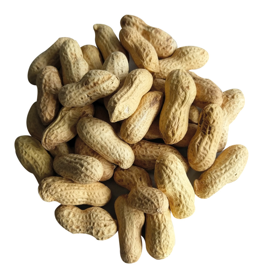 elles - Erdnüsse in der Schale 10kg - 1 x 10kg - 1