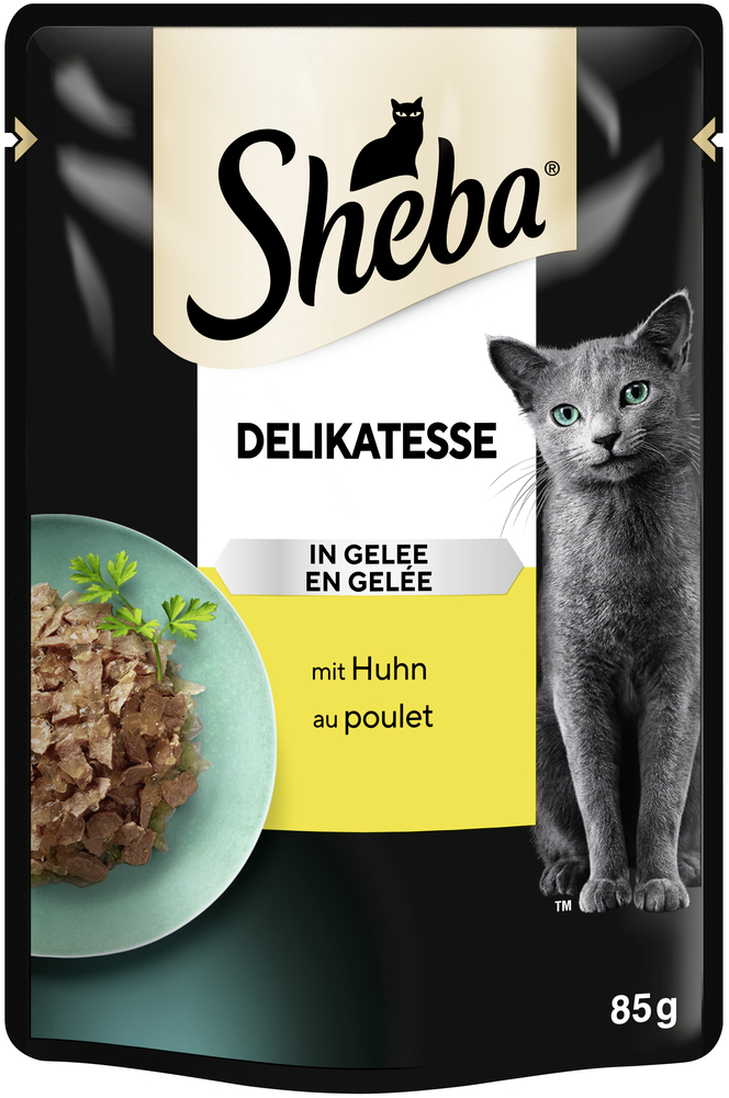 Delicatesse in Gelee mit Huhn