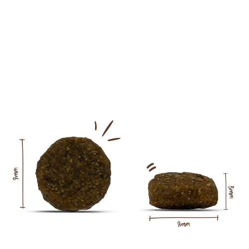 Bosch Sanabelle - Sterilized - 2