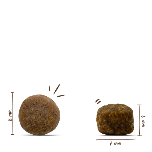Bosch - Mini Adult Lamm&Reis - 1 x 1kg - 3
