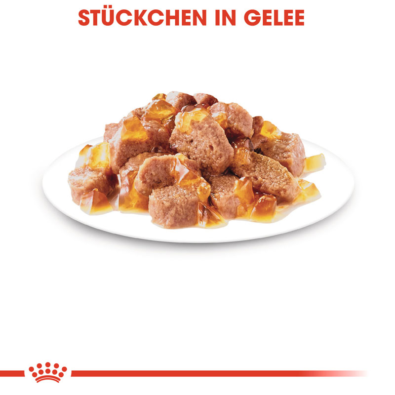 Royal Canin - FHN Sterilised Jelly - 3