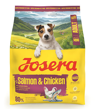 Mini Adult Salmon & Chicken