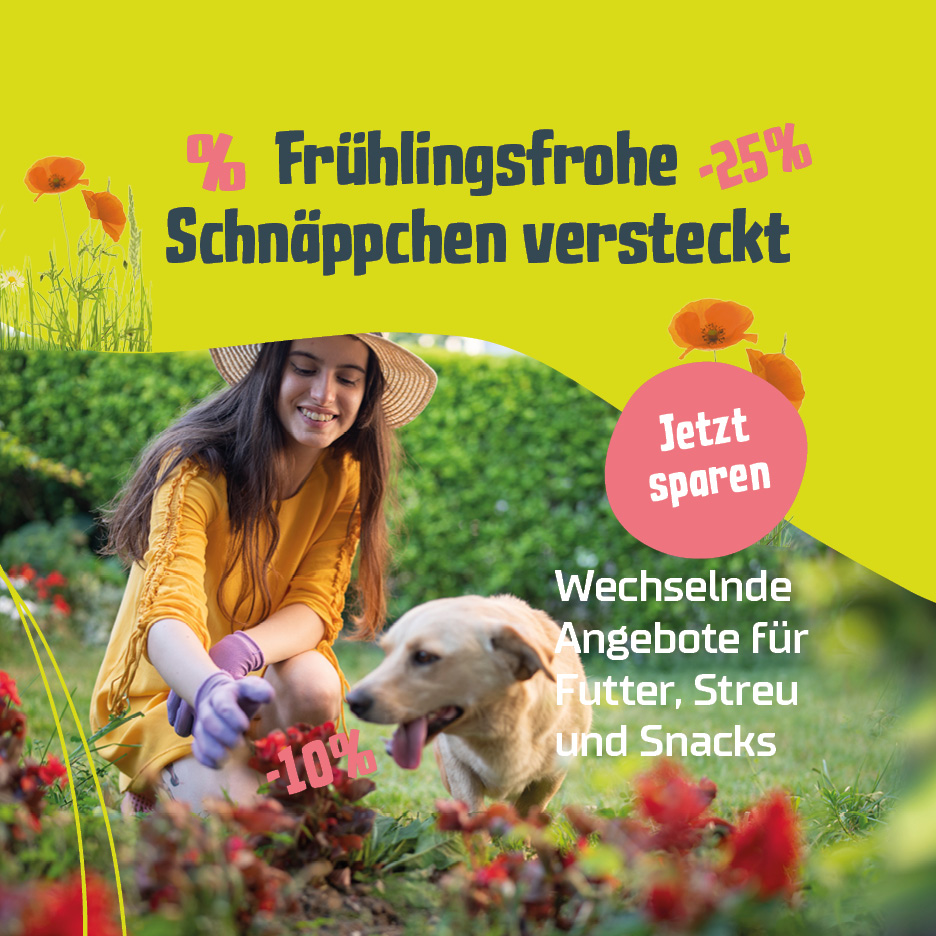 Monatsangebot Hund, Katze