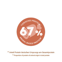 Bosch - Adult Lachs & Kartoffel - 1 x 15 kg - 7