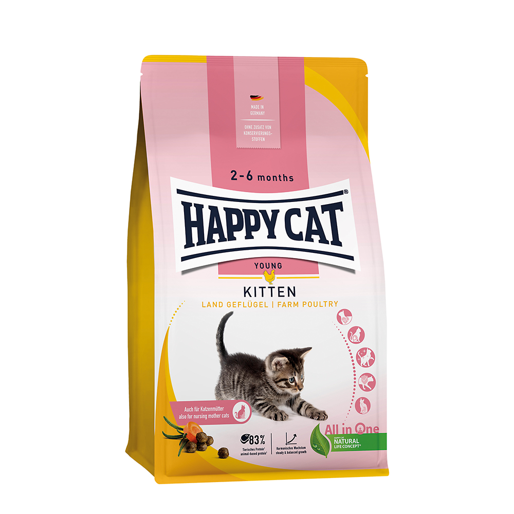 Young Kitten Land Geflügel