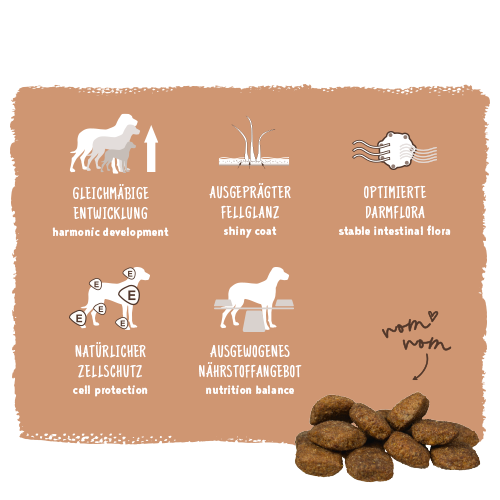 Bosch - Adult Maxi - 1 x 3 kg - 6