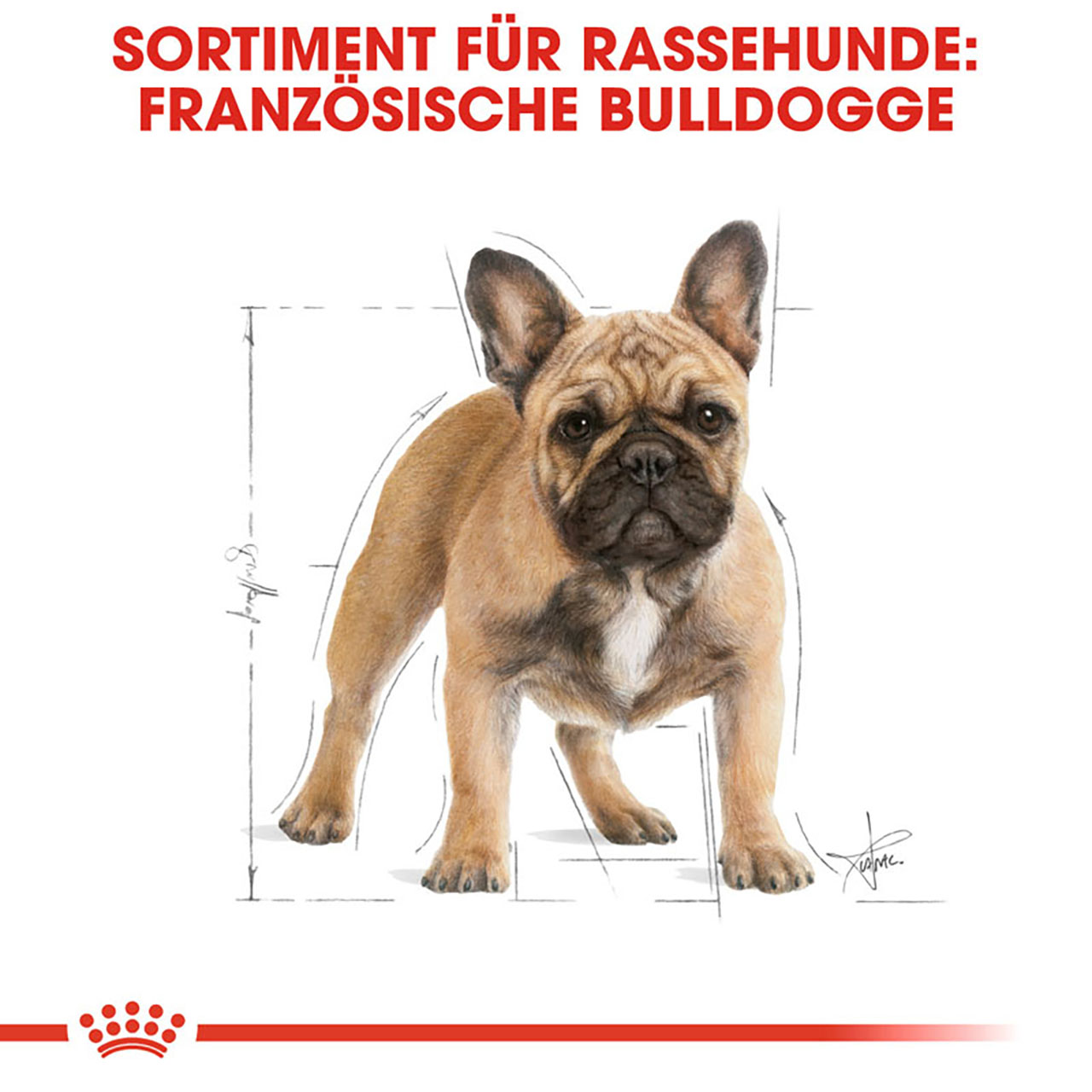 Royal Canin - BHN French Bulldog Adult - 1 x 3kg - 2