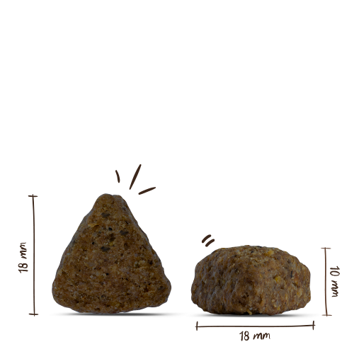 Bosch - Adult Lachs & Kartoffel - 4