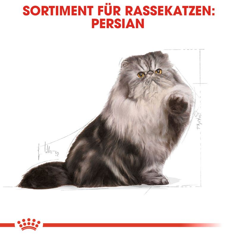 Royal Canin - FBN Persian Adult - 1 x 10kg - 2