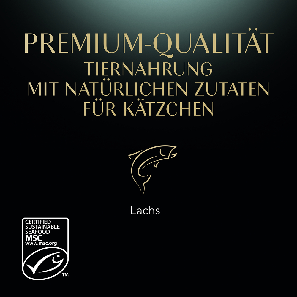 Sheba - Kitten mit Lachs in Sauce - 8