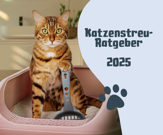 Welches Katzenstreu ist das Beste?