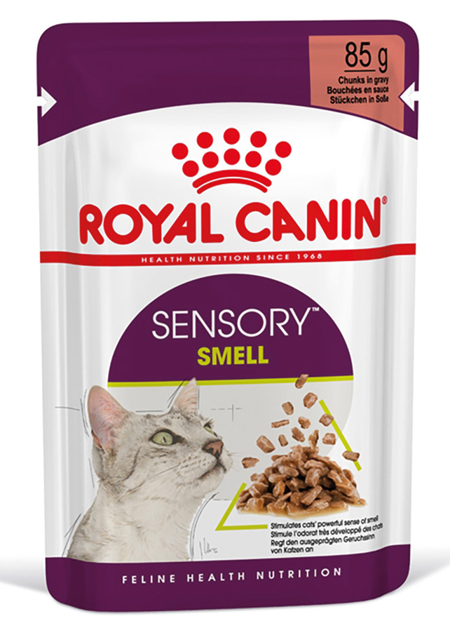 FHN Sensory SmellGravy