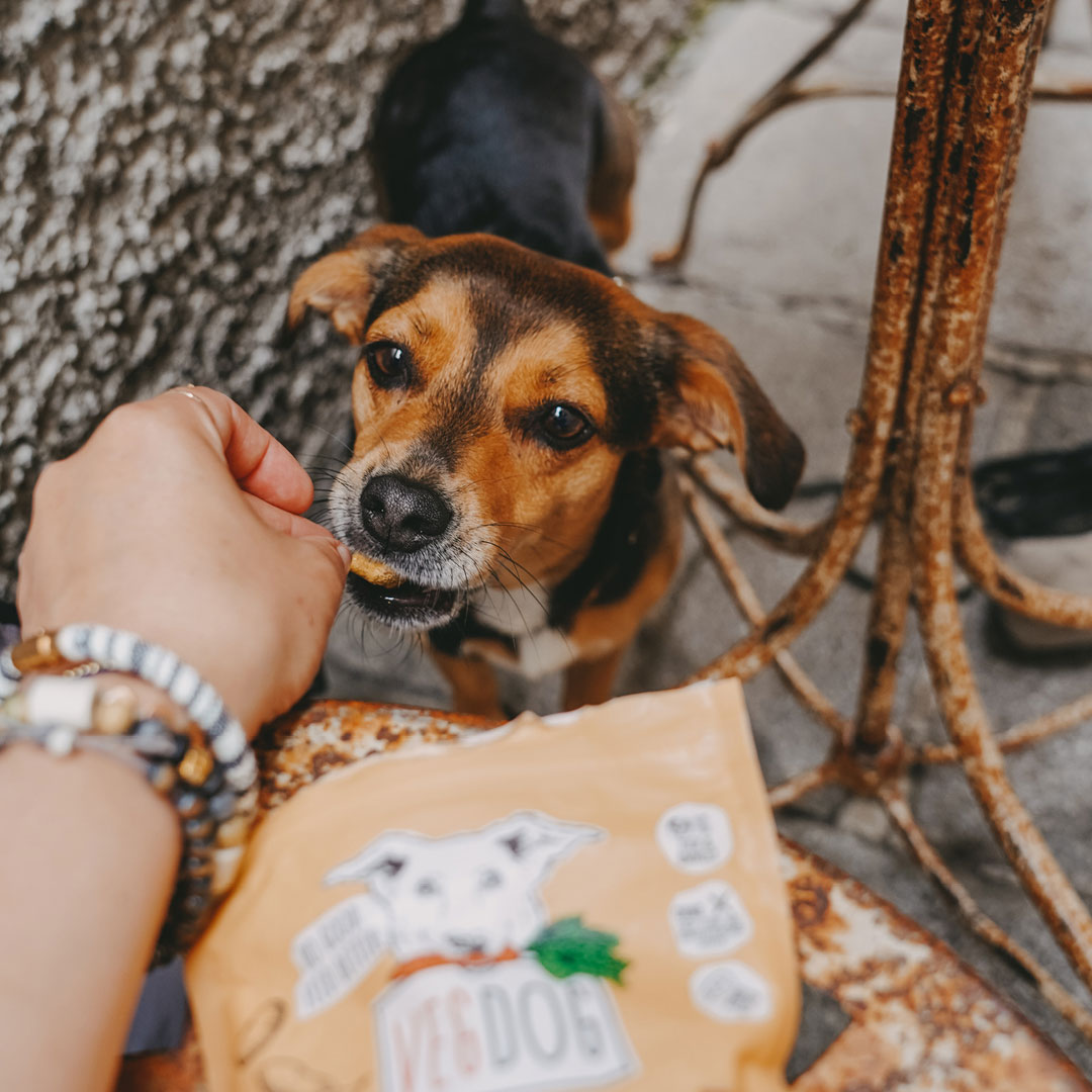 Vegdog - Jerkeys mit Karotte & Buchenrauch - 9 x 80 g - 2