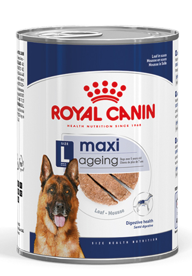 SHN Maxi Ageing LoafCan