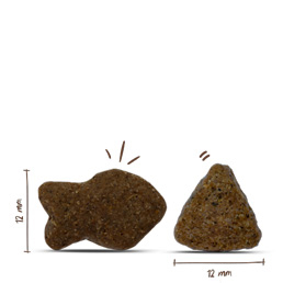 Bosch - Adult Lachs & Kartoffel - 1 x 15 kg - 8